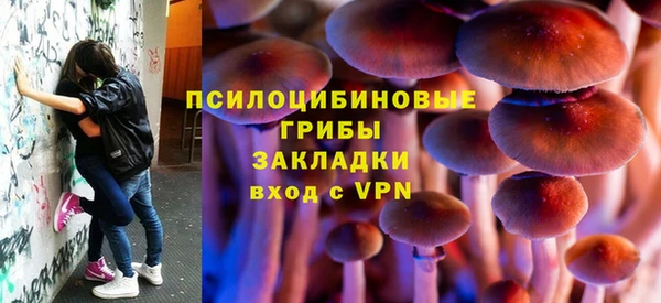 гидра Дмитриев
