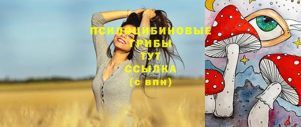 прущий лед Дмитровск